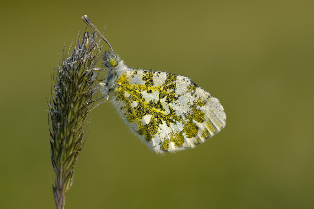 5. Platz Robert Seitz